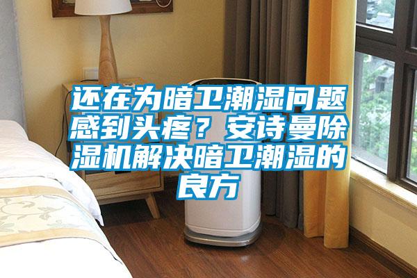 還在為暗衛潮濕問題感到頭疼?安詩曼除濕機解決暗衛潮濕的良方