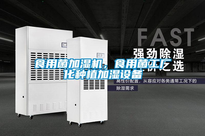食用菌加濕機，食用菌工廠化種植加濕設備