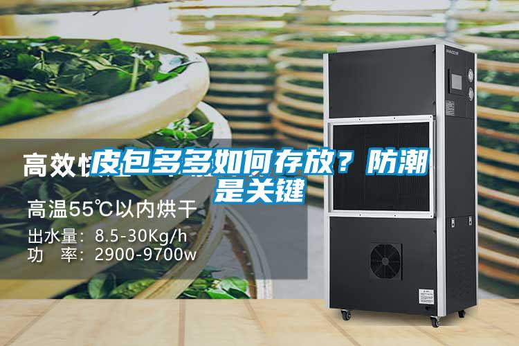 皮包多多如何存放?防潮是關(guān)鍵