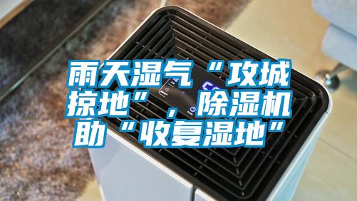 雨天濕氣“攻城掠地”，除濕機助“收復濕地”