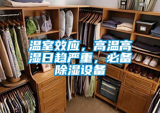 溫室效應(yīng),高溫高濕日趨嚴(yán)重,必備除濕設(shè)備
