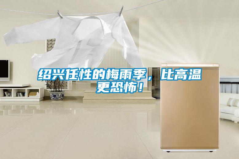 紹興任性的梅雨季，比高溫更恐怖！