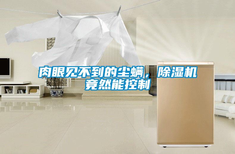 肉眼見不到的塵螨,除濕機竟然能控制
