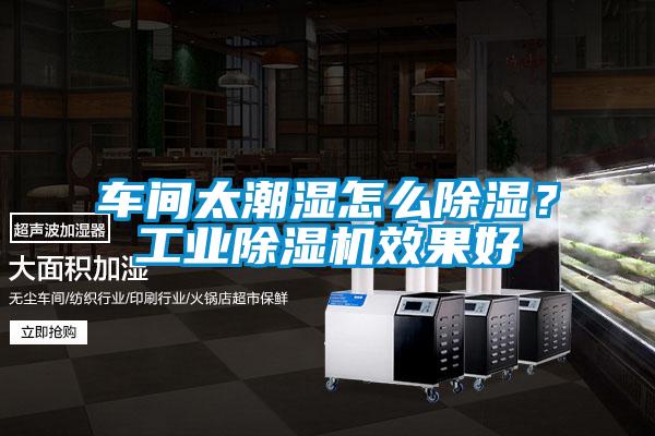 車間太潮濕怎么除濕？工業除濕機效果好