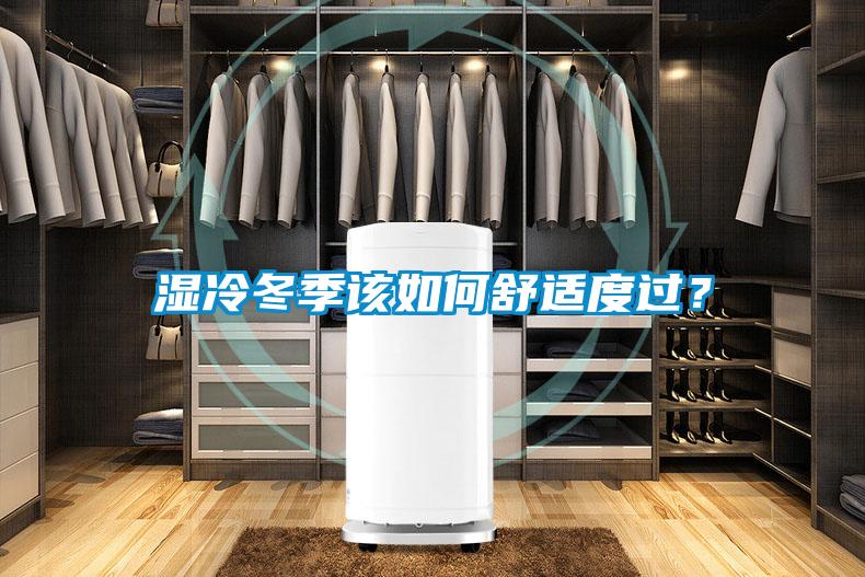 濕冷冬季該如何舒適度過？