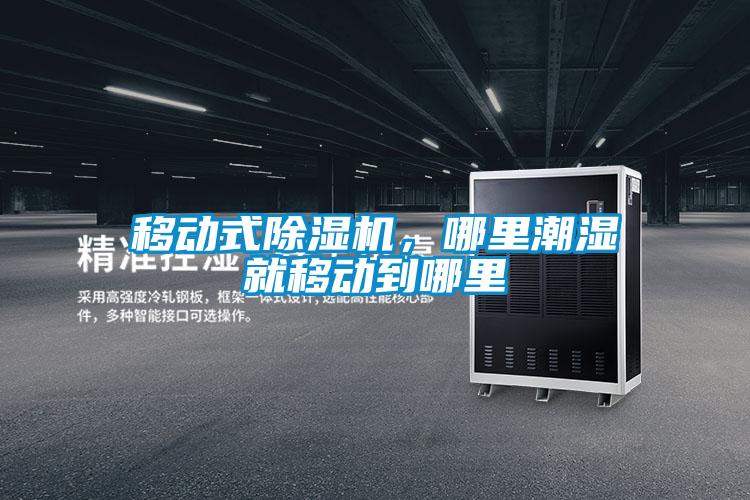 移動(dòng)式除濕機(jī)，哪里潮濕就移動(dòng)到哪里