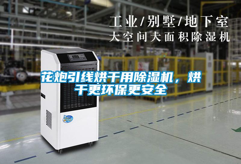 花炮引線烘干用除濕機(jī),烘干更環(huán)保更安全