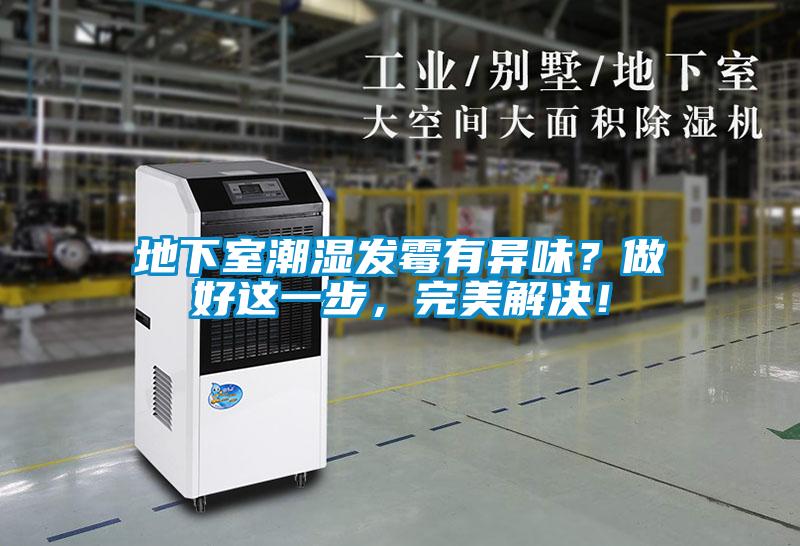 地下室潮濕發霉有異味?做好這一步,完美解決!