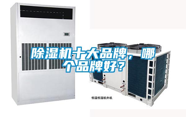 除濕機十大品牌，哪個品牌好？
