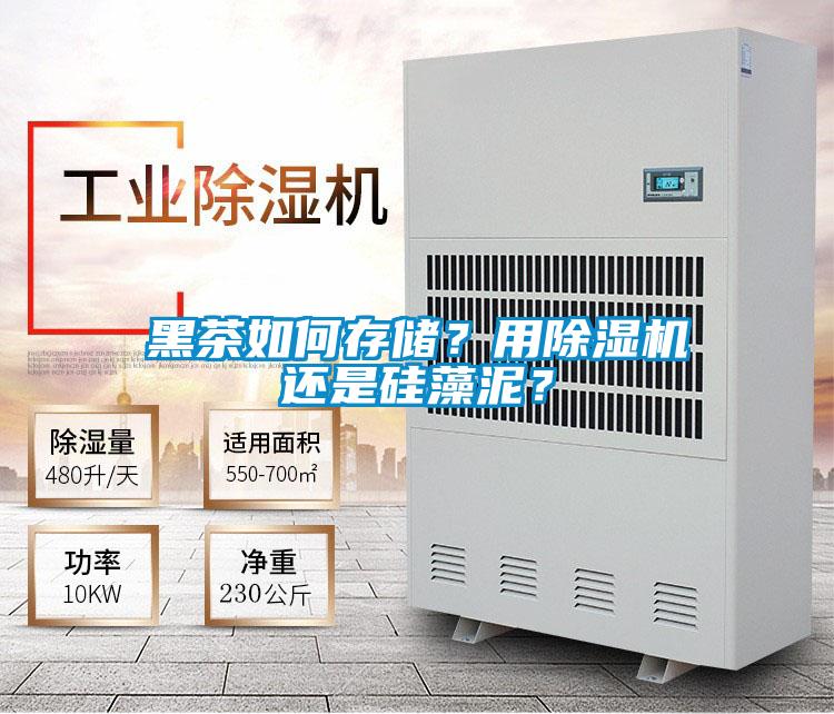 黑茶如何存儲(chǔ)？用除濕機(jī)還是硅藻泥？