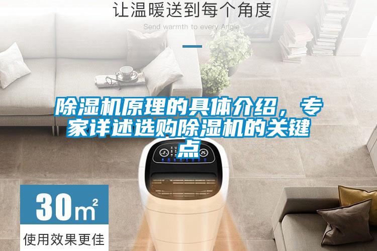 除濕機原理的具體介紹，專家詳述選購除濕機的關鍵點