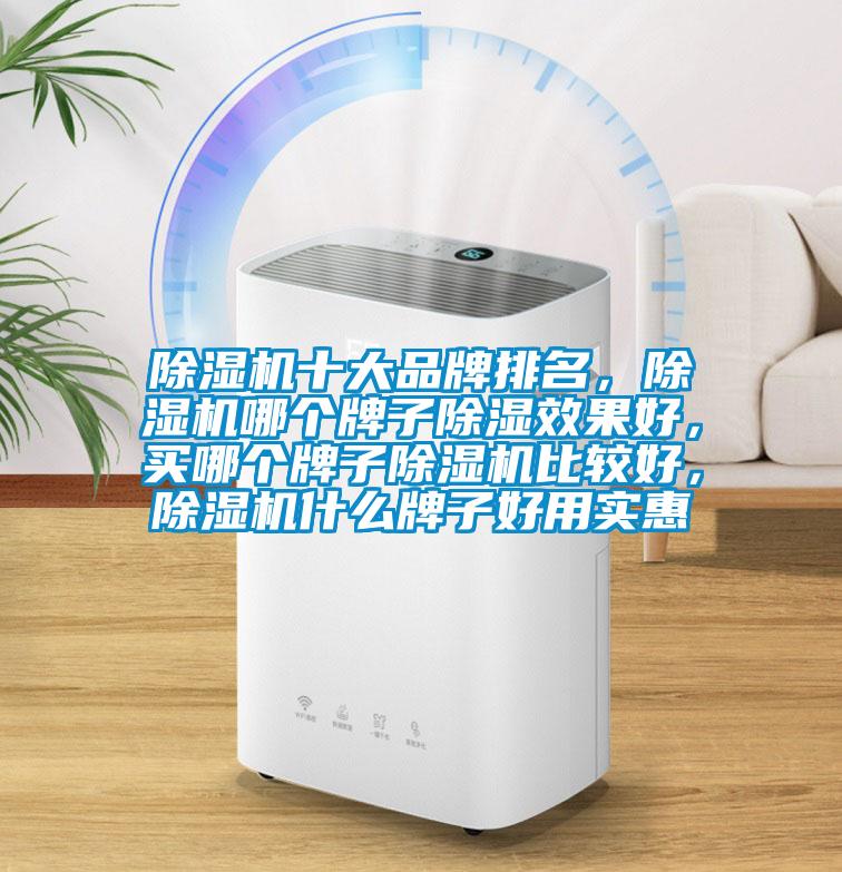 除濕機十大品牌排名，除濕機哪個牌子除濕效果好，買哪個牌子除濕機比較好，除濕機什么牌子好用實惠