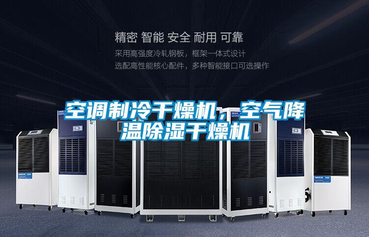 空調制冷干燥機，空氣降溫除濕干燥機