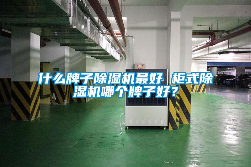 什么牌子除濕機(jī)最好 柜式除濕機(jī)哪個(gè)牌子好？