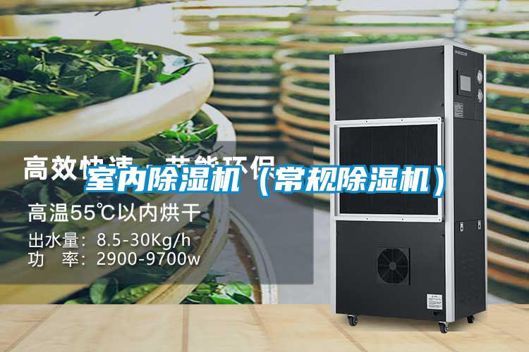 室內除濕機(常規除濕機)