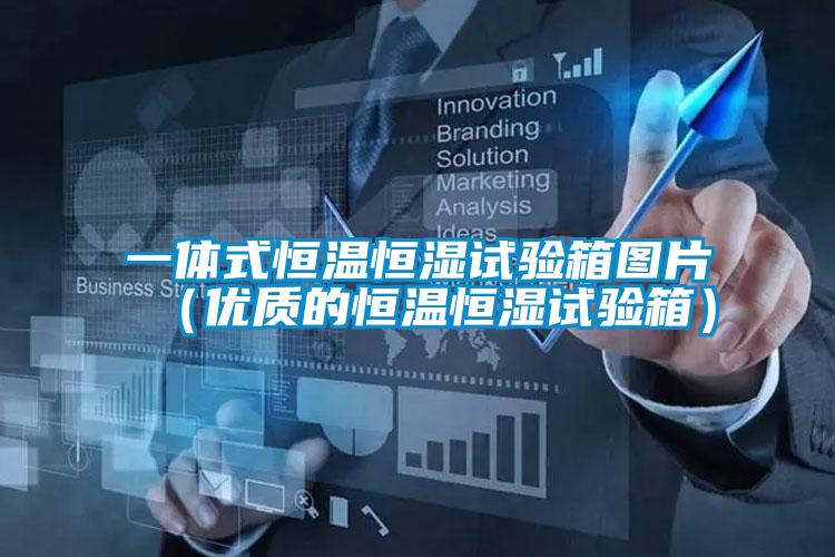 一體式恒溫恒濕試驗箱圖片(優(yōu)質(zhì)的恒溫恒濕試驗箱)