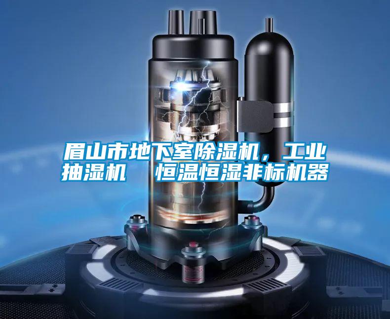 眉山市地下室除濕機，工業抽濕機  恒溫恒濕非標機器