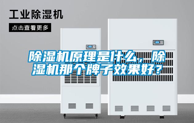除濕機原理是什么,除濕機那個牌子效果好?