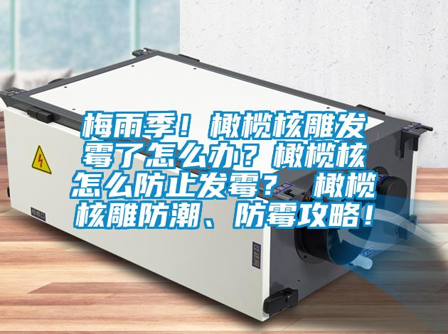 梅雨季！橄欖核雕發霉了怎么辦？橄欖核怎么防止發霉？ 橄欖核雕防潮、防霉攻略！