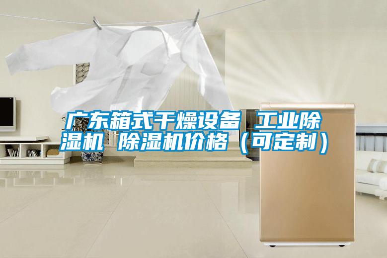 廣東箱式干燥設備 工業除濕機 除濕機價格(可定制)