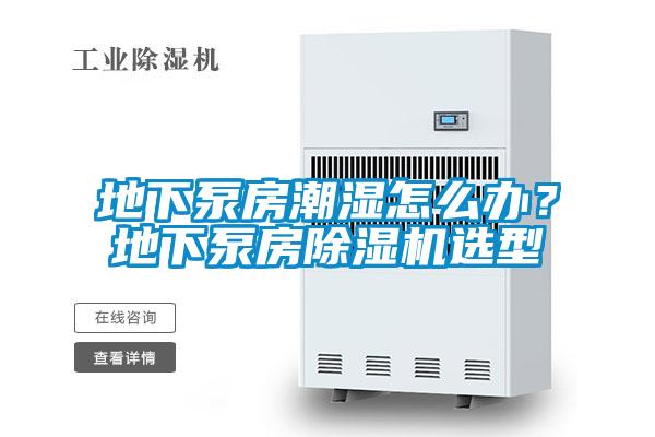 地下泵房潮濕怎么辦?地下泵房除濕機選型
