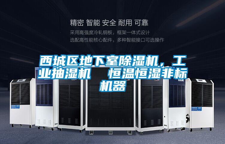 西城區(qū)地下室除濕機(jī),工業(yè)抽濕機(jī)  恒溫恒濕非標(biāo)機(jī)器