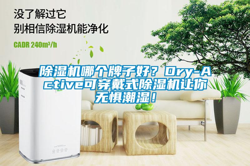 除濕機哪個牌子好？Dry-Active可穿戴式除濕機讓你無懼潮濕！