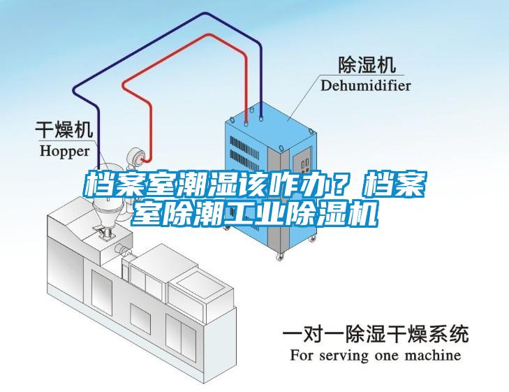 檔案室潮濕該咋辦？檔案室除潮工業除濕機