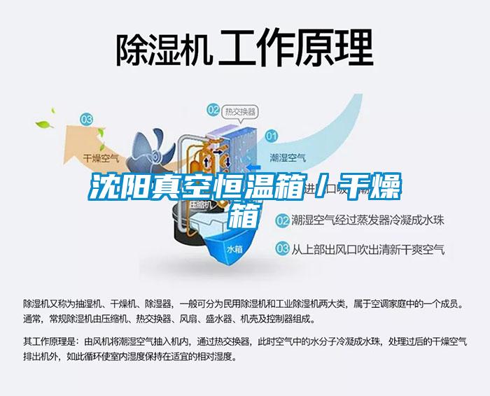 沈陽真空恒溫箱/干燥箱