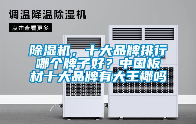 除濕機，十大品牌排行哪個牌子好？中國板材十大品牌有大王椰嗎