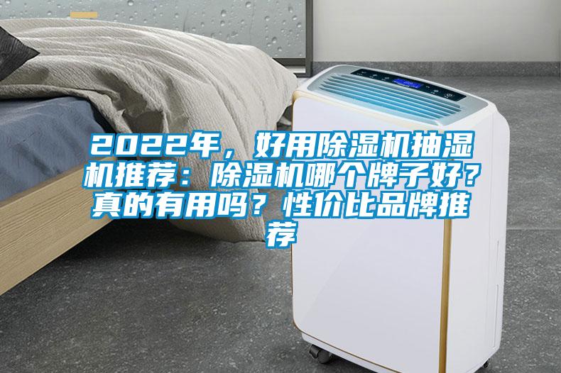 2022年，好用除濕機抽濕機推薦：除濕機哪個牌子好？真的有用嗎？性價比品牌推薦