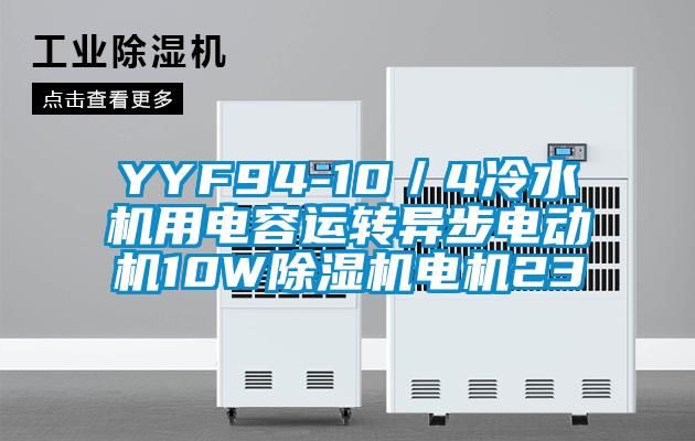 YYF94-10/4冷水機用電容運轉(zhuǎn)異步電動機10W除濕機電機23