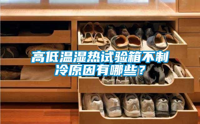 高低溫濕熱試驗(yàn)箱不制冷原因有哪些?