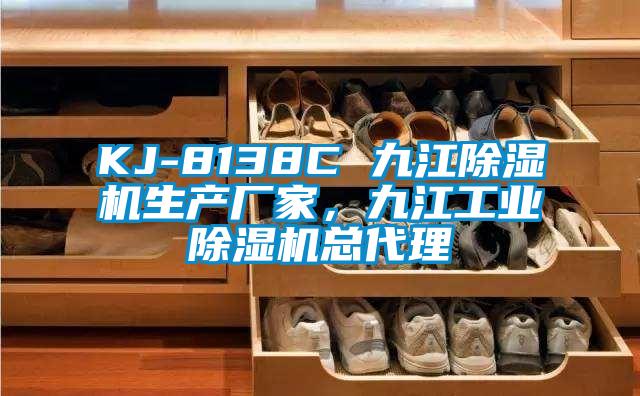 KJ-8138C 九江除濕機生產廠家,九江工業除濕機總代理