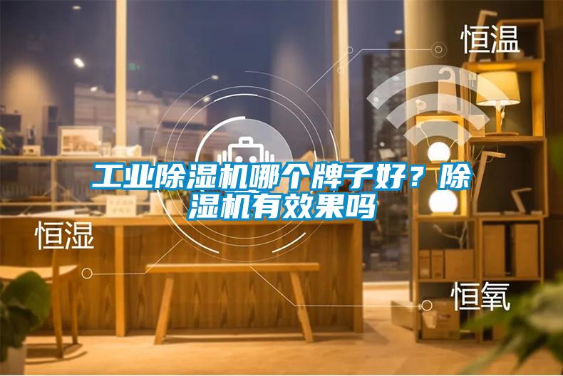 工業(yè)除濕機(jī)哪個牌子好？除濕機(jī)有效果嗎