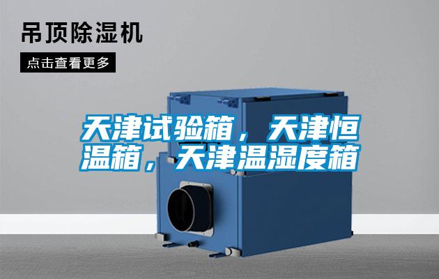 天津試驗箱，天津恒溫箱，天津溫濕度箱