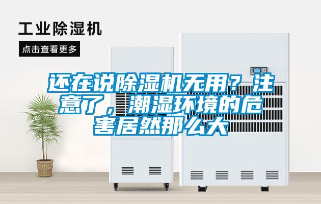 還在說(shuō)除濕機(jī)無(wú)用?注意了,潮濕環(huán)境的危害居然那么大