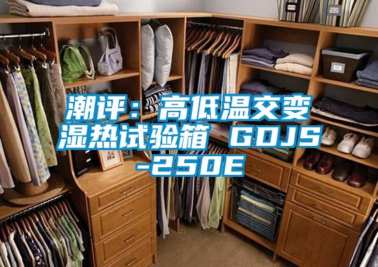 潮評(píng)：高低溫交變濕熱試驗(yàn)箱 GDJS-250E