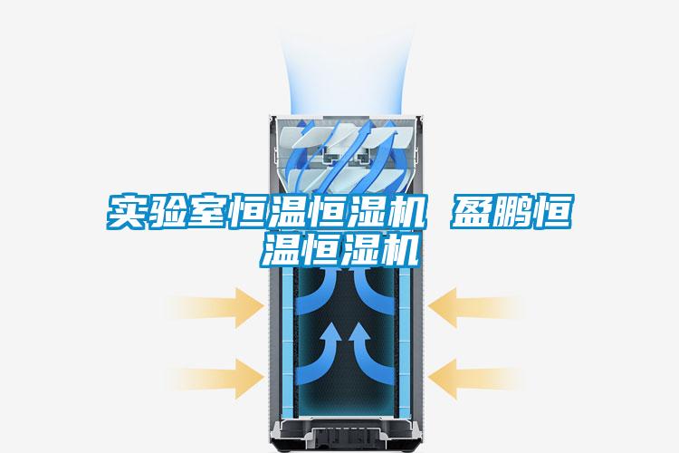 實驗室恒溫恒濕機(jī) 盈鵬恒溫恒濕機(jī)