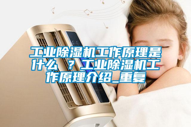 工業除濕機工作原理是什么 ？工業除濕機工作原理介紹_重復