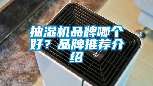 抽濕機品牌哪個好?品牌推薦介紹