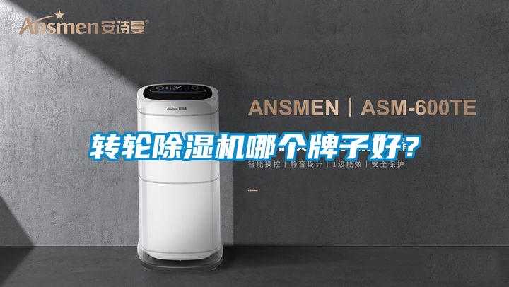 轉輪除濕機哪個牌子好？