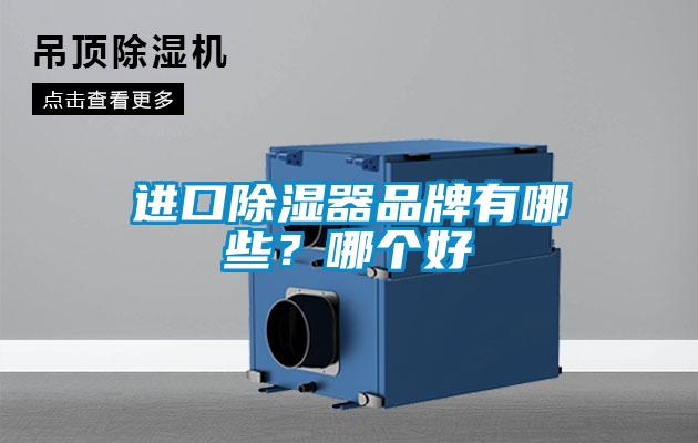 進口除濕器品牌有哪些？哪個好