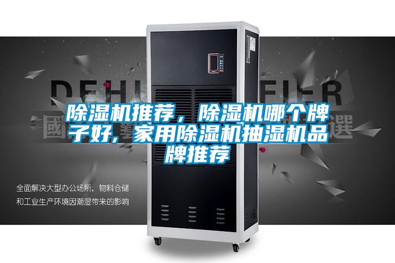 除濕機推薦，除濕機哪個牌子好, 家用除濕機抽濕機品牌推薦