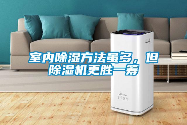 室內除濕方法雖多,但除濕機更勝一籌