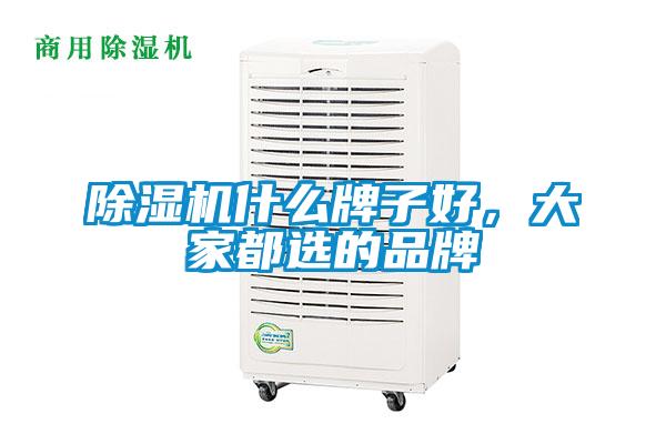 除濕機(jī)什么牌子好,大家都選的品牌
