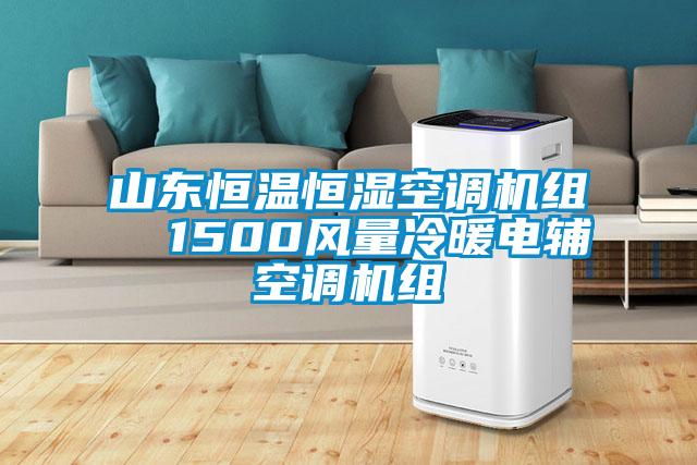 山東恒溫恒濕空調機組  1500風量冷暖電輔空調機組