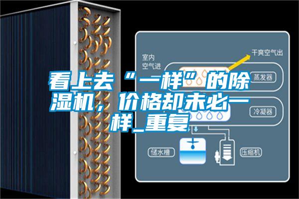 看上去“一樣”的除濕機,價格卻未必一樣_重復(fù)