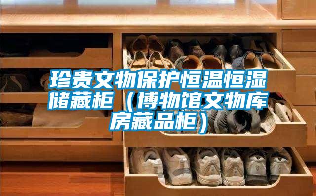 珍貴文物保護恒溫恒濕儲藏柜(博物館文物庫房藏品柜)