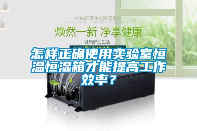 怎樣正確使用實驗室恒溫恒濕箱才能提高工作效率？